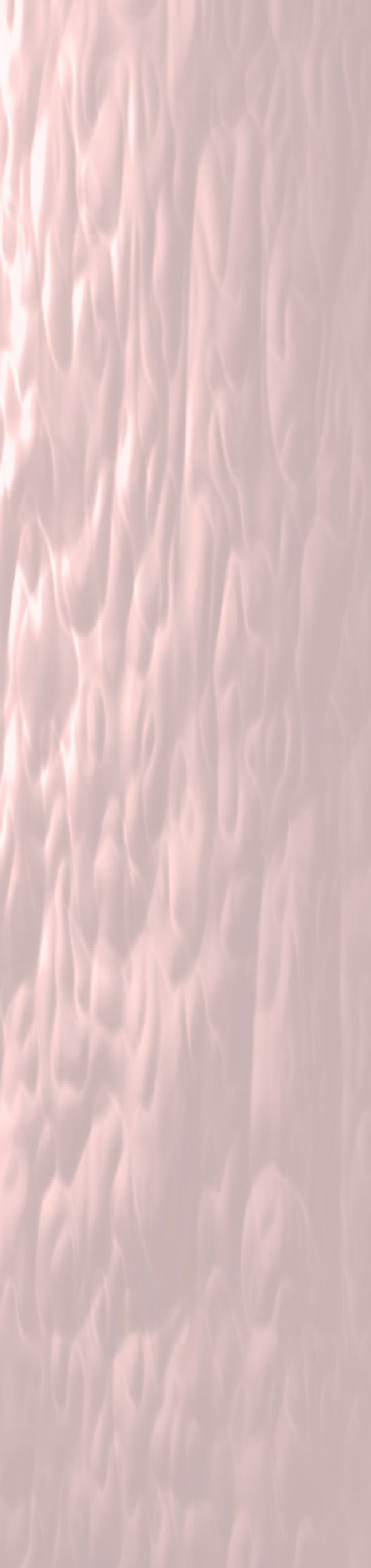 wp121e9047.png